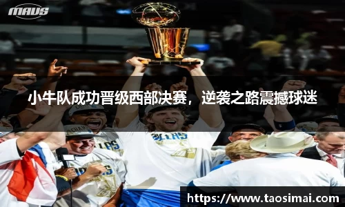 小牛队成功晋级西部决赛，逆袭之路震撼球迷