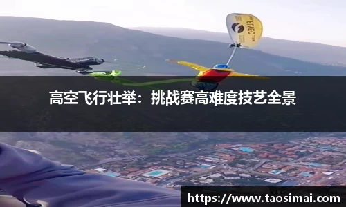 高空飞行壮举：挑战赛高难度技艺全景